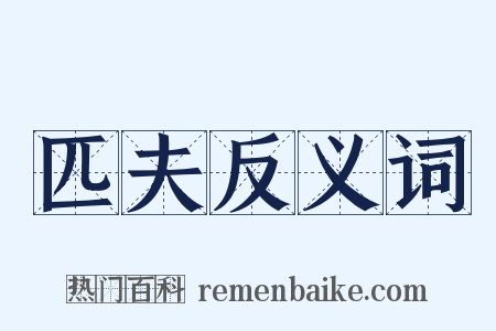 匹夫反义词是什么意思的图片